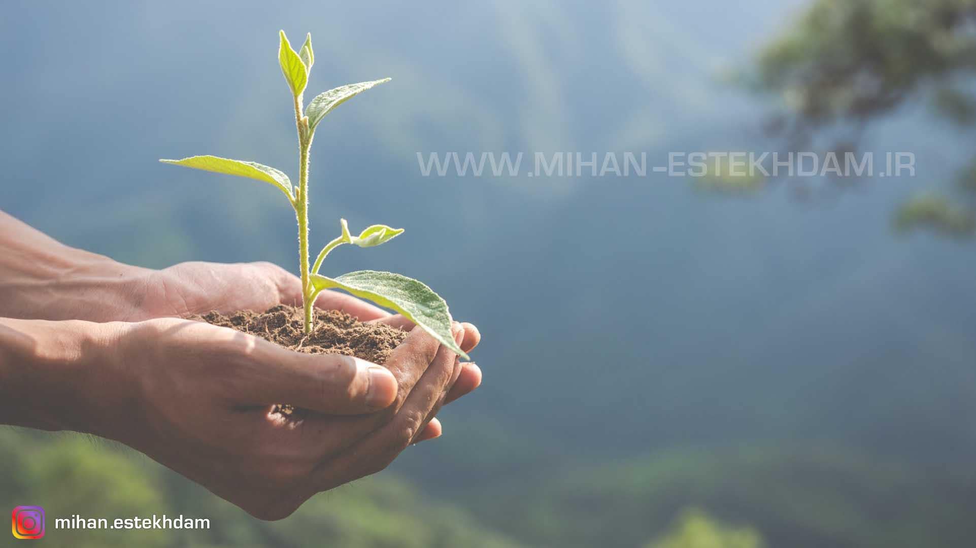 چگونه از محیط زیست محافظت کنیم؟